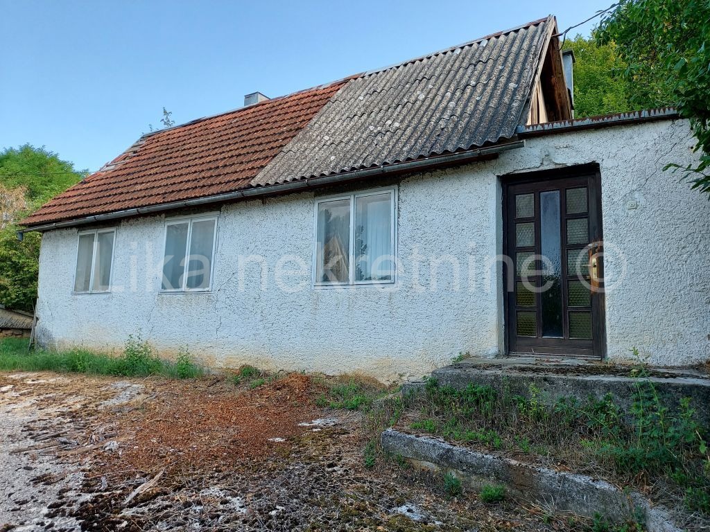 More photos