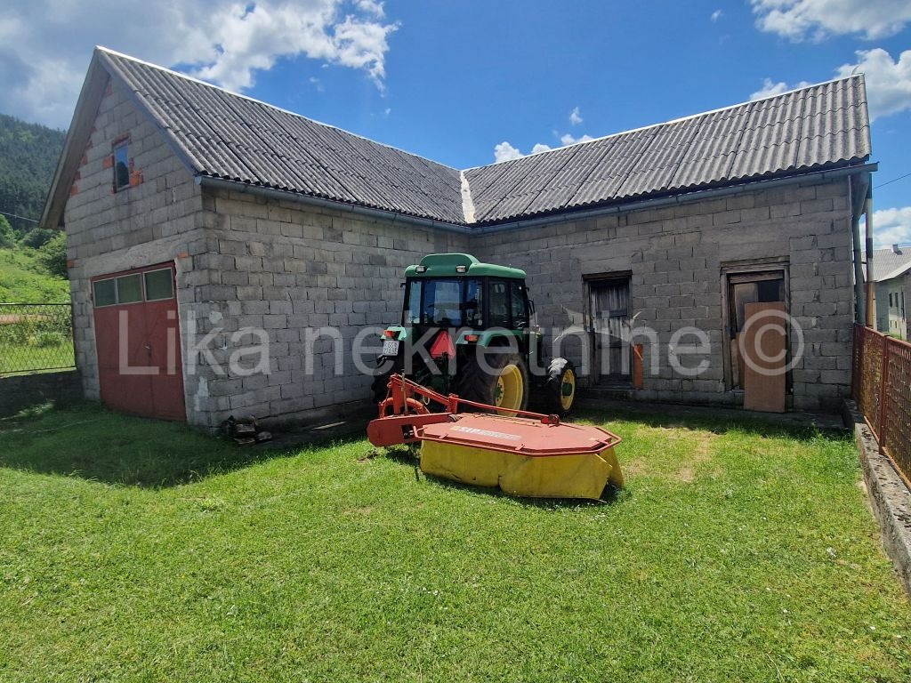 More photos