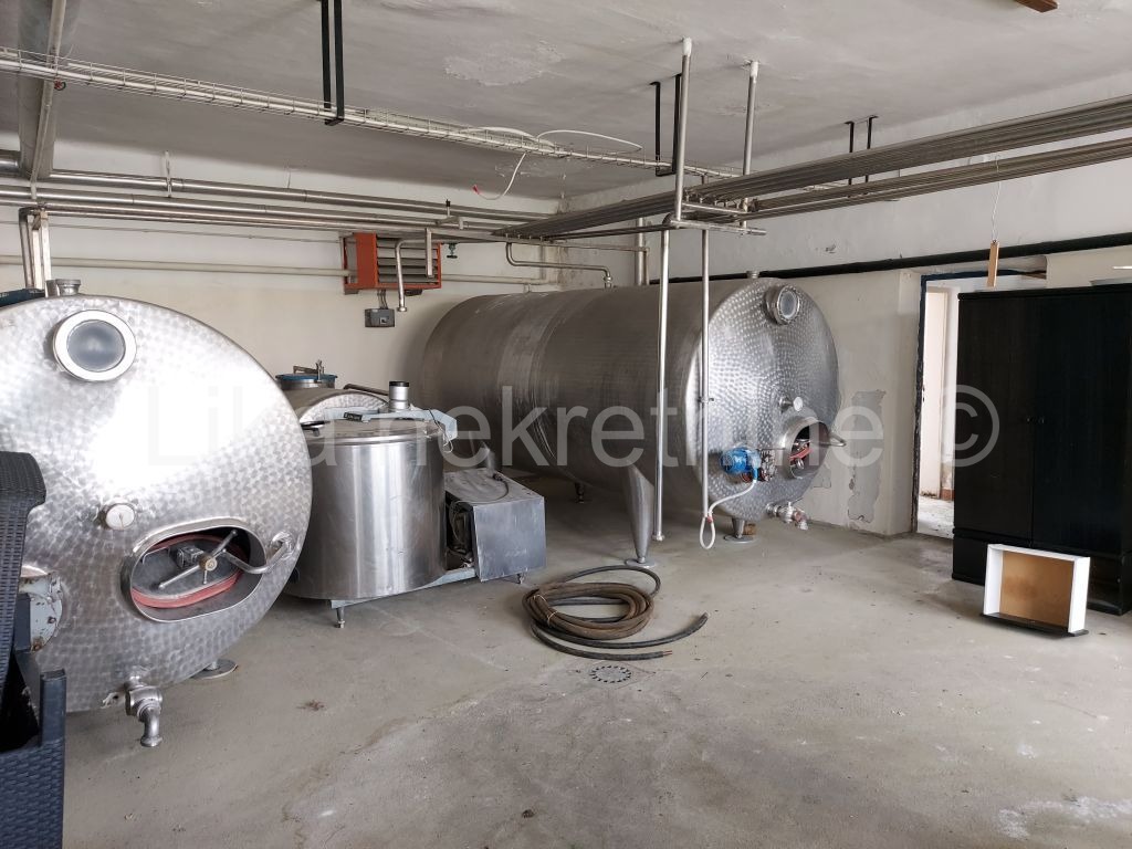 More photos