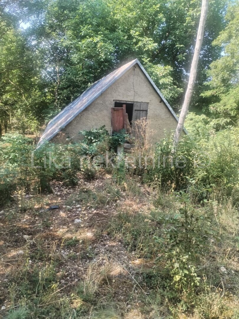 More photos