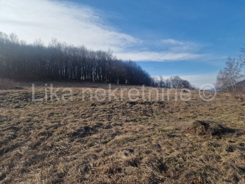 GOSPIĆ - Mogorić - Poljoprivredno zemljište 13,6 hektara